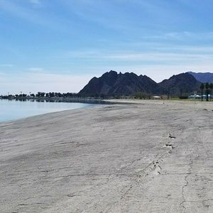 Meet your Posher, Sasha